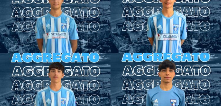 Vitulano Drugstore Manfredonia, dall'Under 19 alla Serie A Manzella, Ferrara, Colangelo e Gambuto